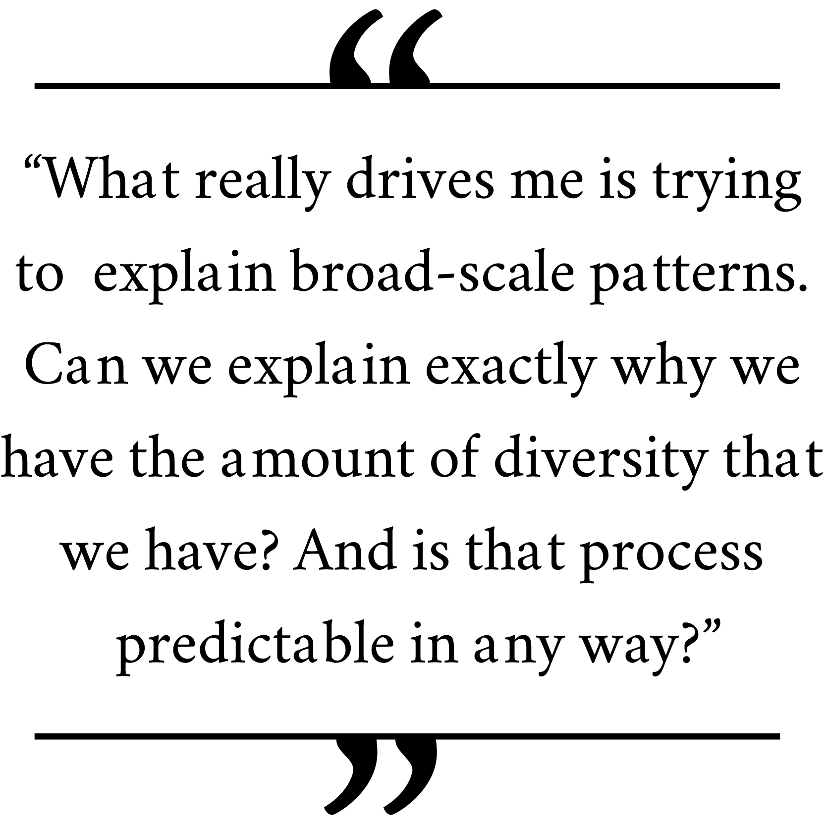 What really drives me is trying to explain broad-scale patterns. Can we explain exactly why we have the amount of diversity that we have? And is that process predictable in any way?